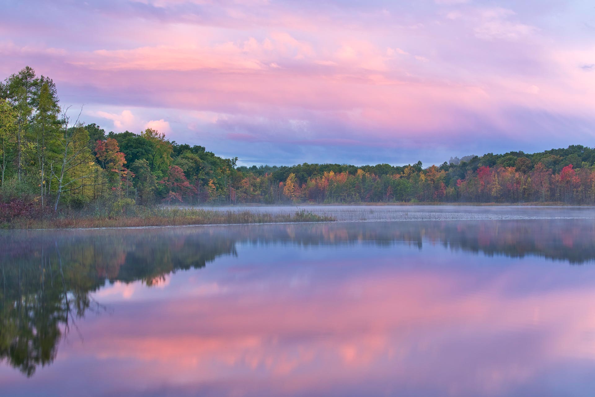 Employee Navigator Employer Login Employee Navigator Employer Login