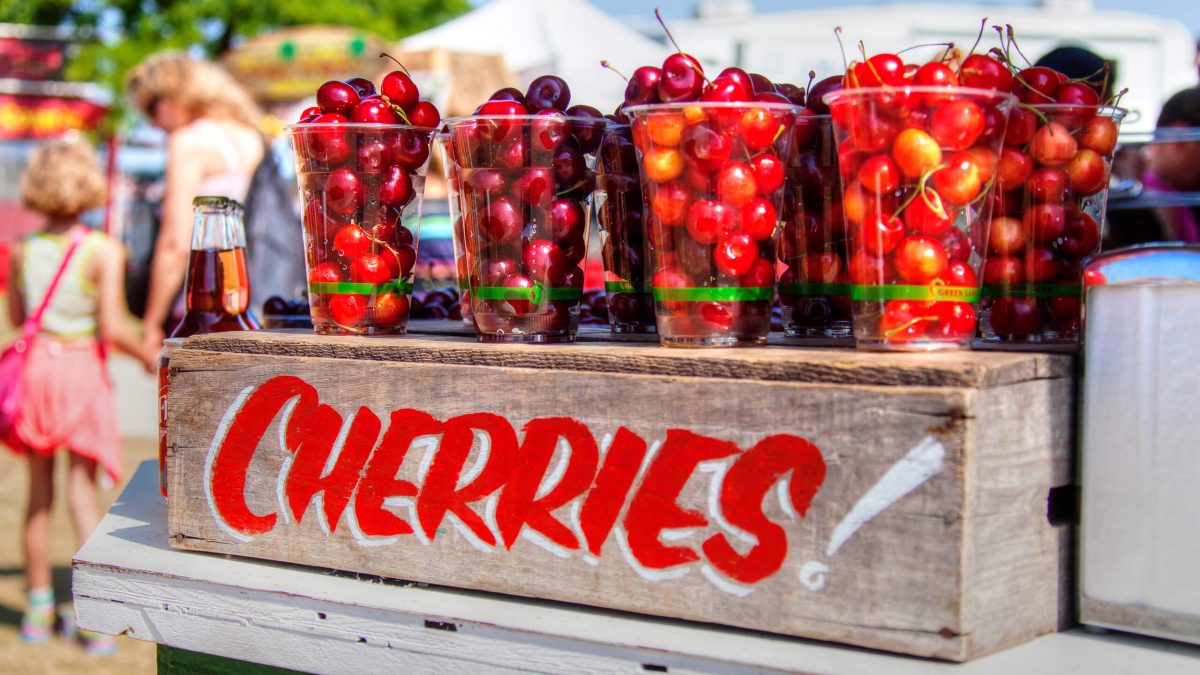 Crate of cherries on a table at the Traverse City Cherry Festival