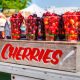 Crate of cherries on a table at the Traverse City Cherry Festival