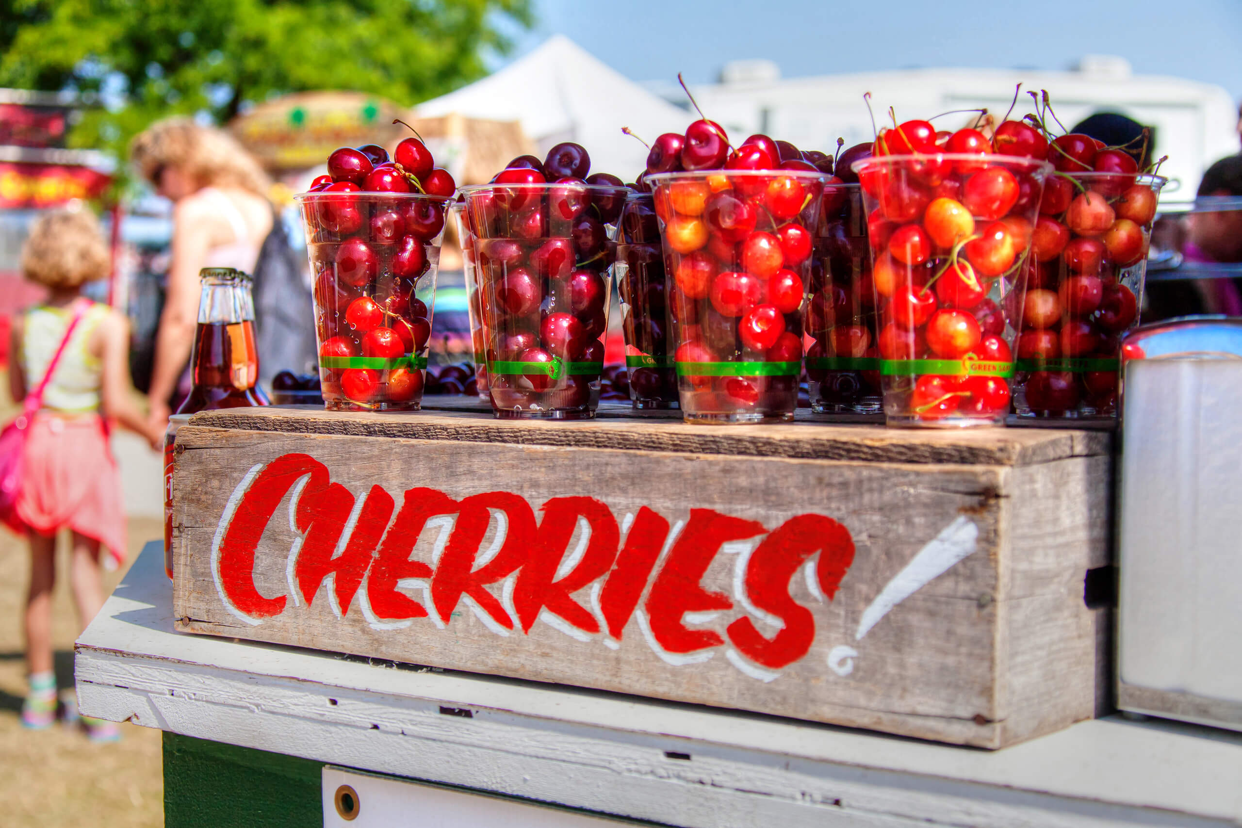 Crate of cherries on a table at the Traverse City Cherry Festival